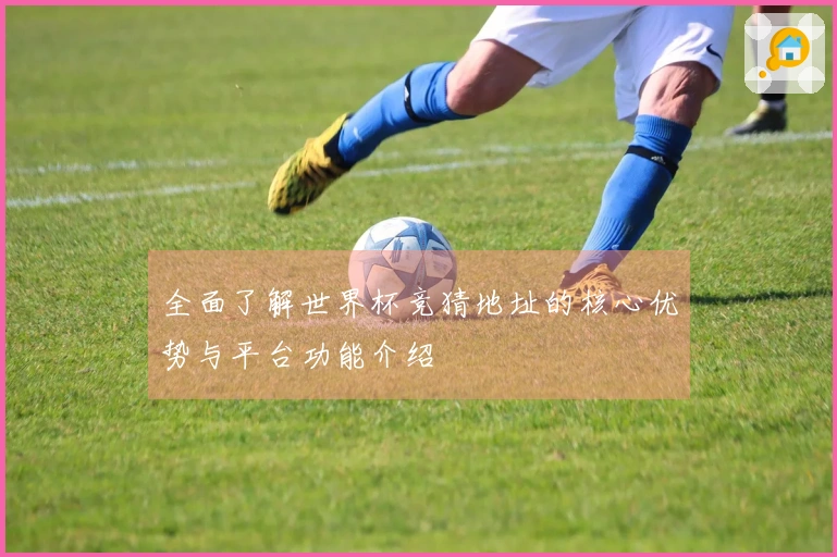 全面了解世界杯竞猜地址的核心优势与平台功能介绍