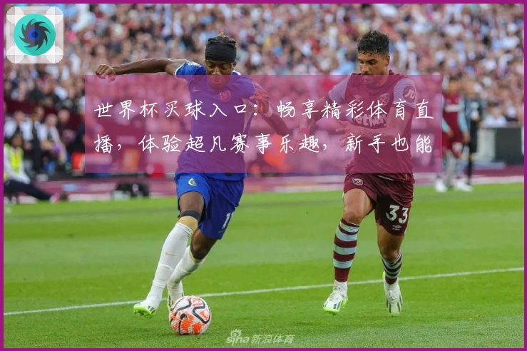 世界杯买球入口:畅享精彩体育直播,体验超凡赛事乐趣,新手也能轻松上手