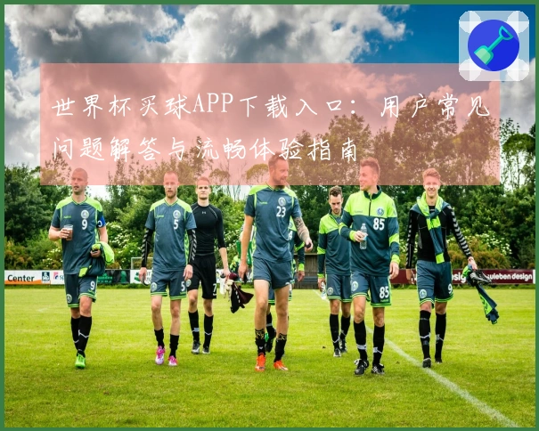 世界杯买球APP下载入口：用户常见问题解答与流畅体验指南