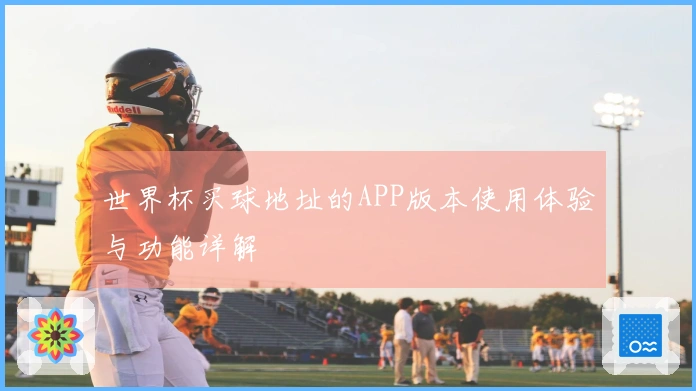 世界杯买球地址的APP版本使用体验与功能详解