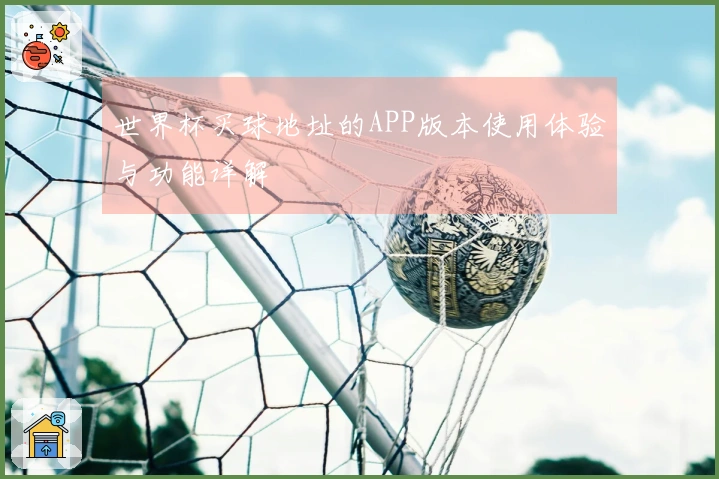 世界杯买球地址的APP版本使用体验与功能详解