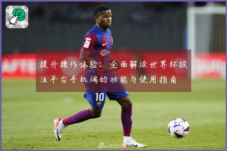 提升操作体验：全面解读世界杯投注平台手机端的功能与使用指南