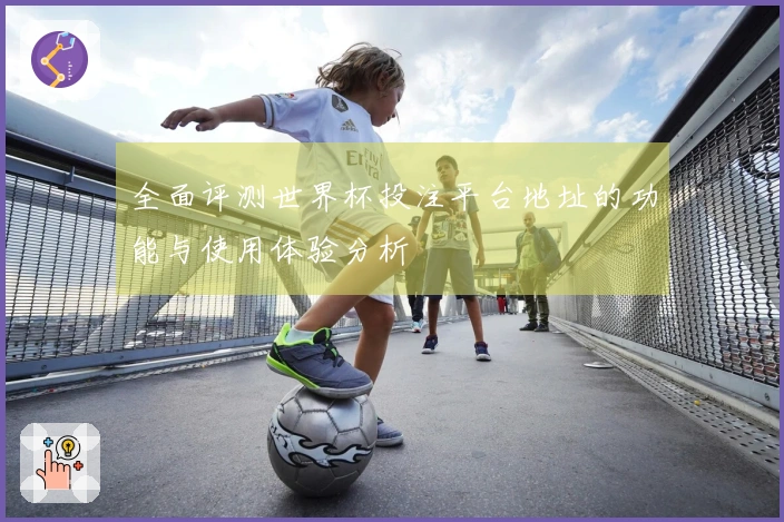 全面评测世界杯投注平台地址的功能与使用体验分析