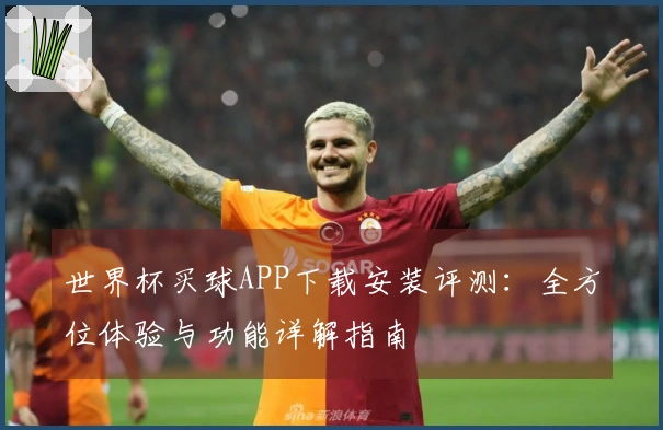 世界杯买球APP下载安装评测：全方位体验与功能详解指南