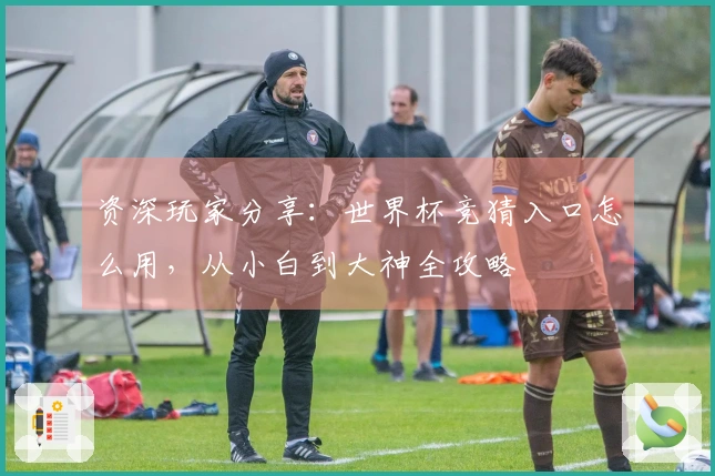 资深玩家分享：世界杯竞猜入口怎么用，从小白到大神全攻略